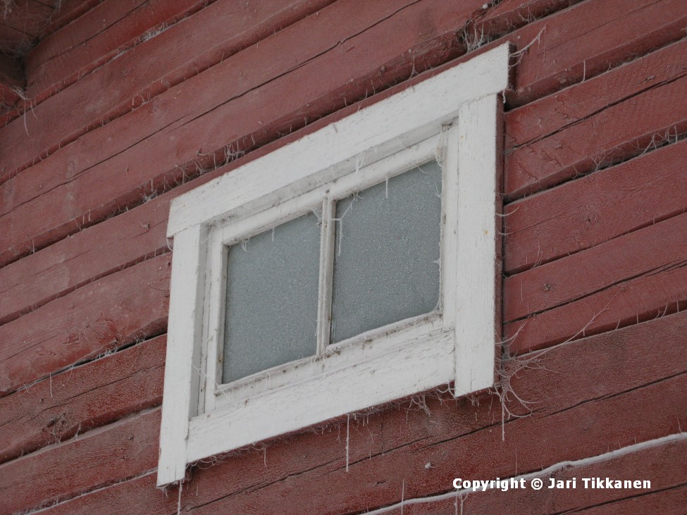 Hämähäkkien verkkoja