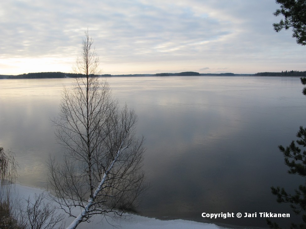 Päivän kuva Onkiveden Koivuselkä jäätyy