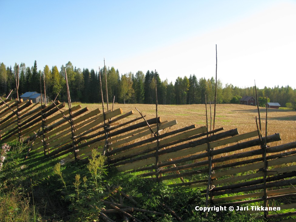 Pitkämäentien vartta