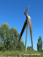 Valokuva
